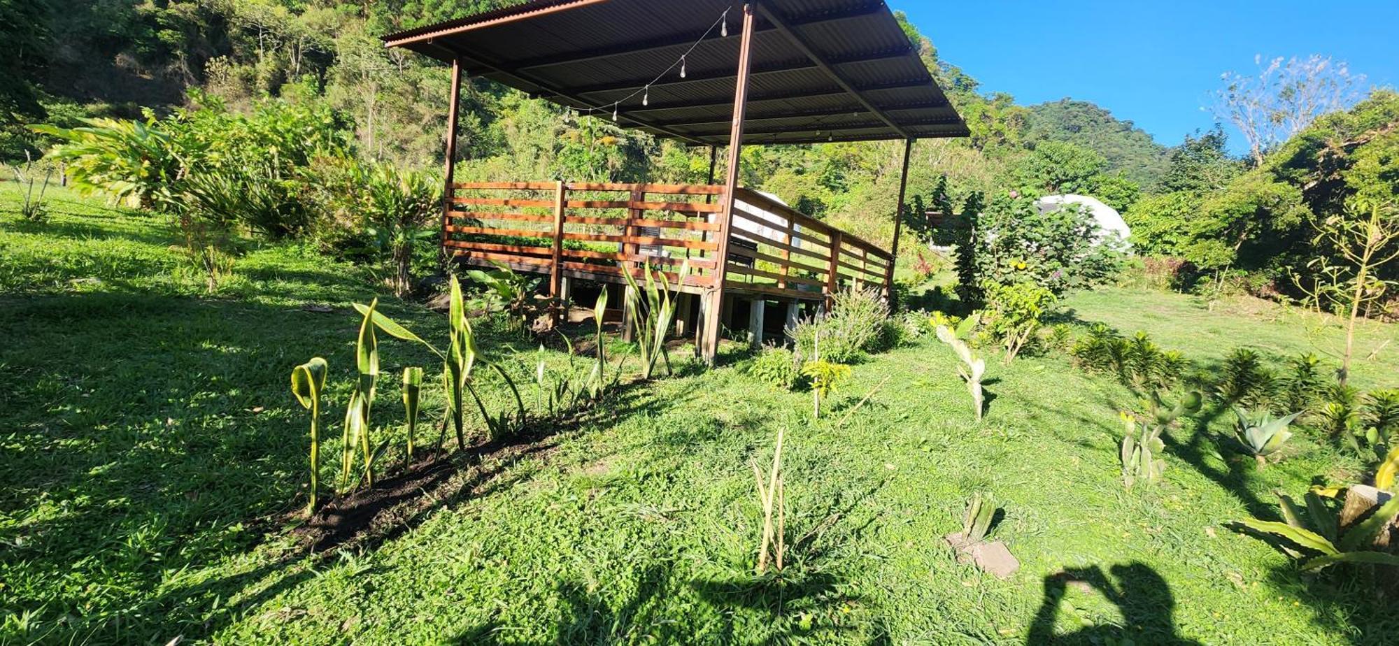 Glamping Monteverde Esterno foto