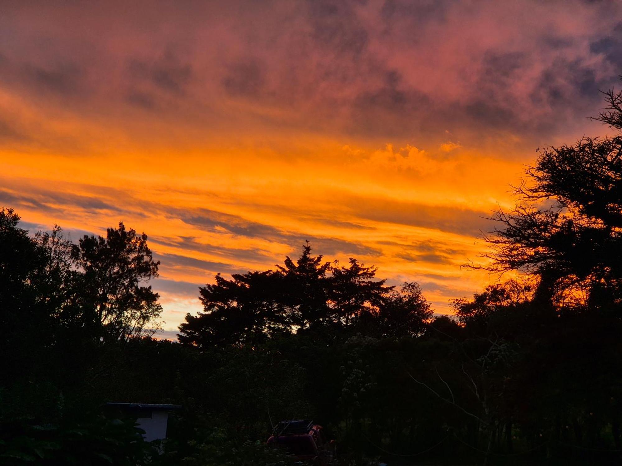 Glamping Monteverde Esterno foto