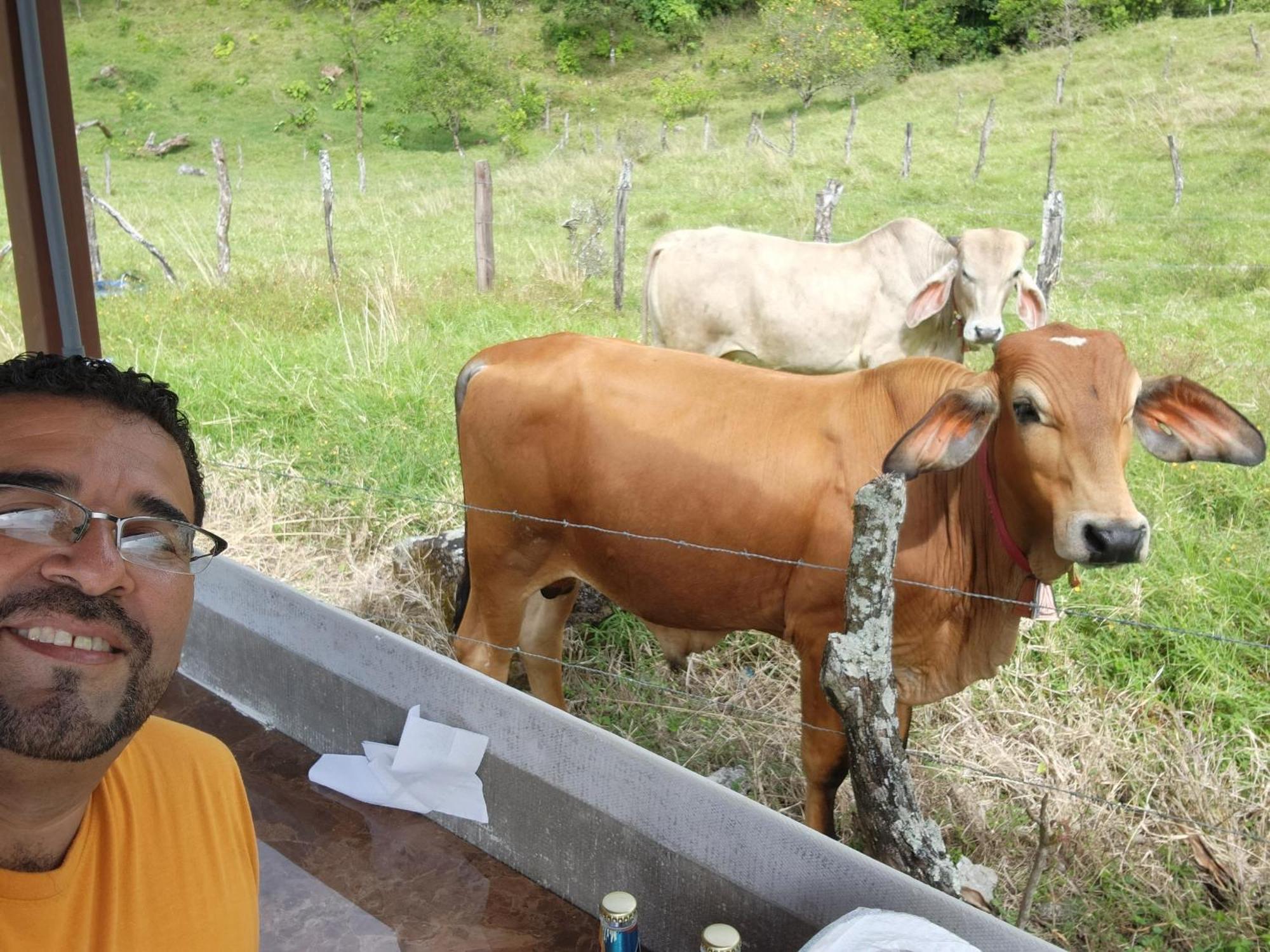 Glamping Monteverde Esterno foto