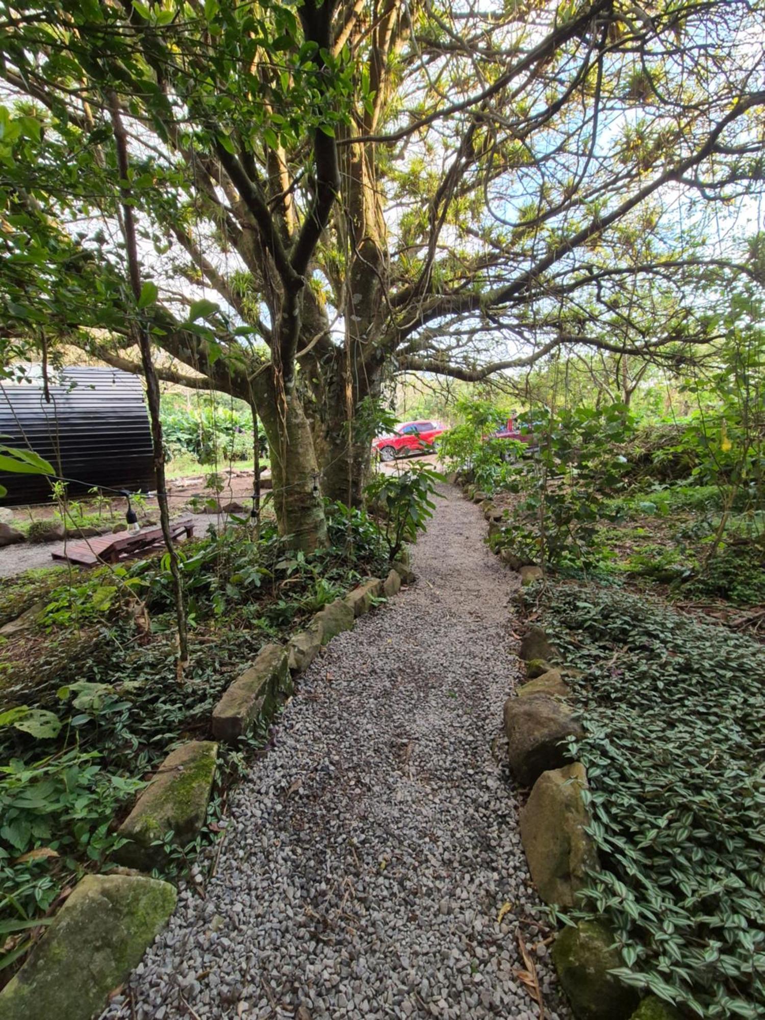 Glamping Monteverde Esterno foto