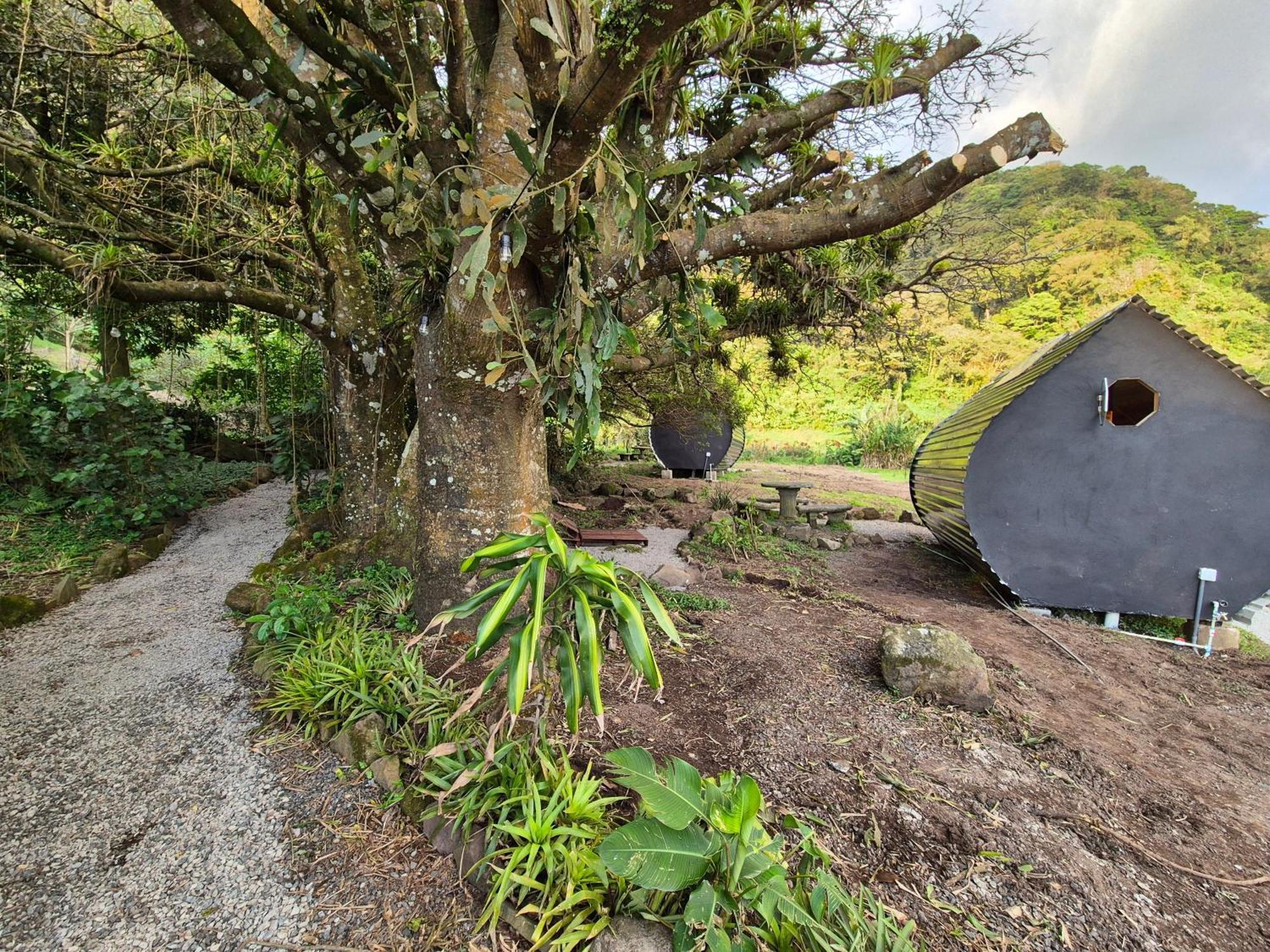 Glamping Monteverde Esterno foto